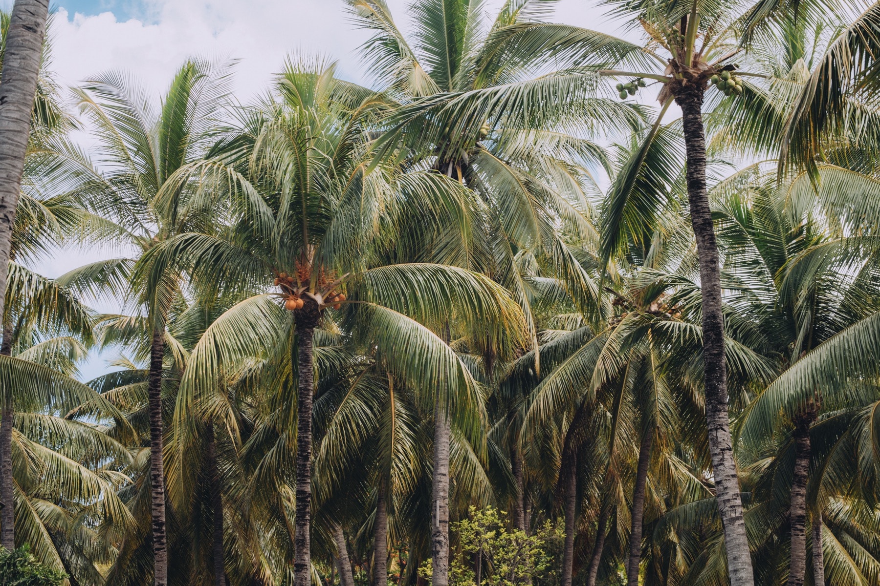 Living in Mauritius: a reason to continue being in heaven